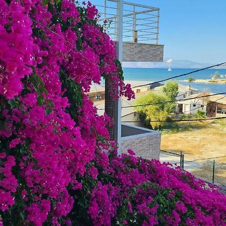 Begonvil Otel Çeşme Exterior foto